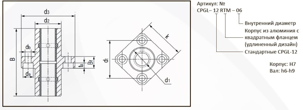 cpgl12rtm_ch.JPG