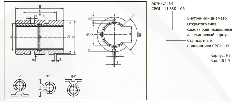 cpgl11rsk_ch.JPG cpgl11rsk_ch.JPG