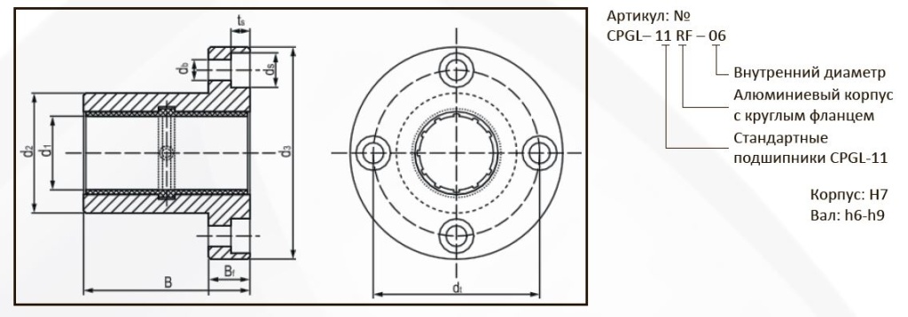 cpgl11rf_ch.JPG cpgl11rf_ch.JPG