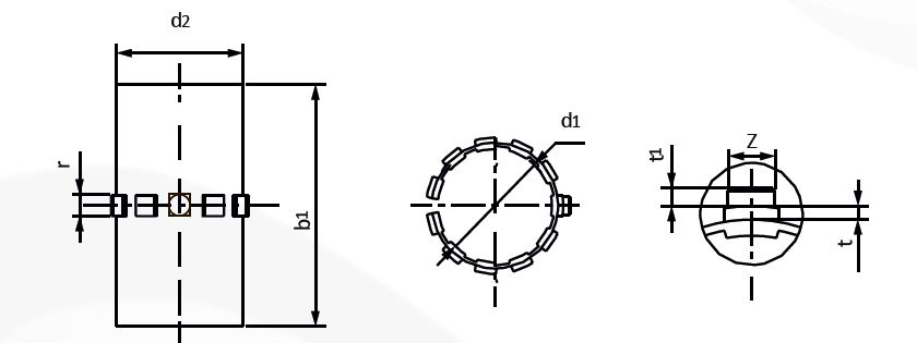 cpgl12_che.JPG